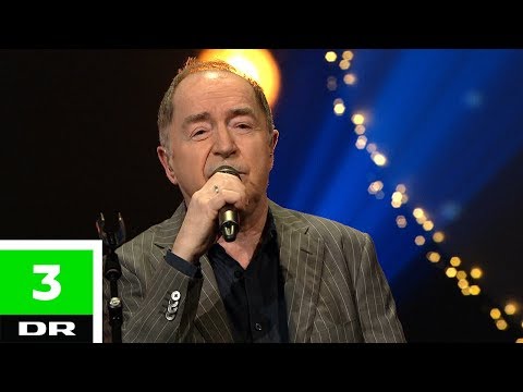 Niels Skousen - Vil du (LIVE) | Elsker dig for evigt | DR3