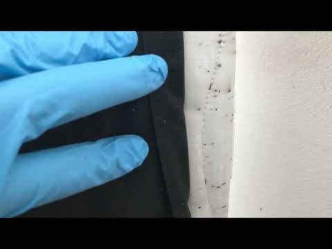 Always Inspect Second Hand Furniture