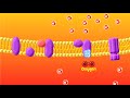 The Electron Transport Chain Explained (Aerobic Respiration)