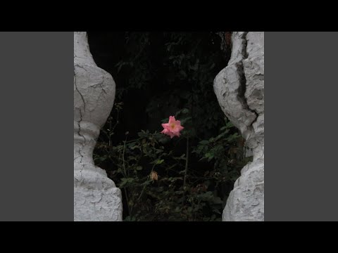 Lisonjero - Epigmenio Cruz
