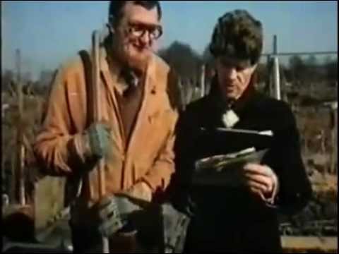 Vergaande plannen voor het innen van een moestuinbelasting