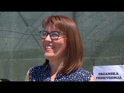 Dan borovnice SUPERIOR a u Velikoj Plani