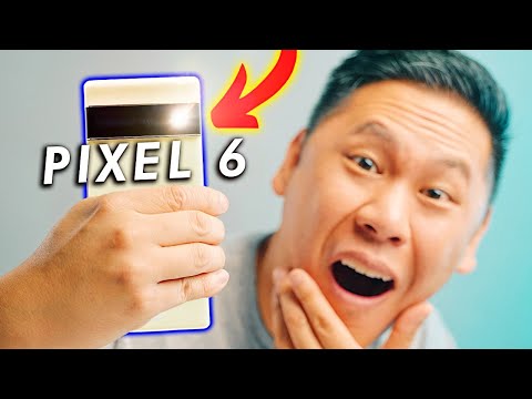 Pixel 6 Pro : la partie photo