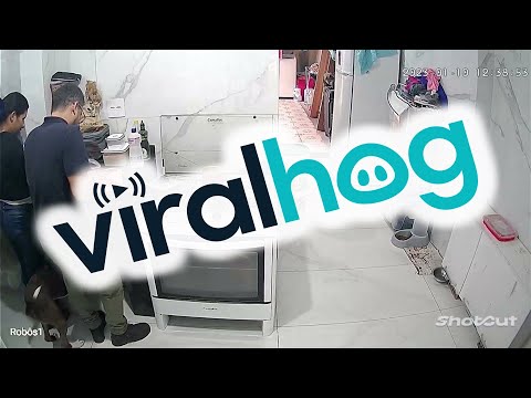 Dog Downs Meat While Back is Turned || ViralHog