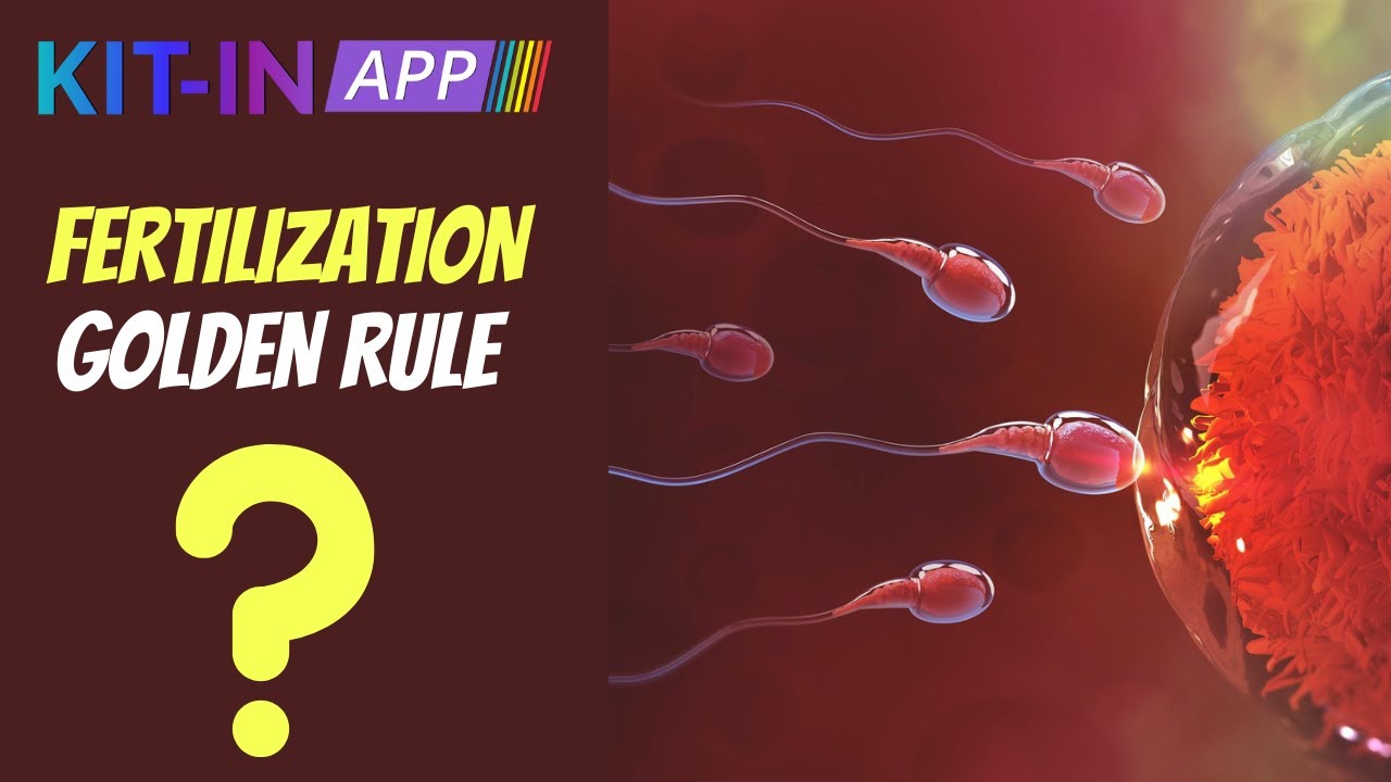Animal Reproduction  #Fertilization  || पशुधन सहायक (#LSA) || #Golden #Rule  | #importantquestions