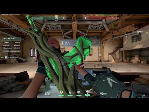 Gaia Vengeance Vandal Variants & Animations (Showcase)