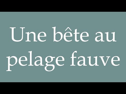 How to Pronounce ''Une bête au pelage fauve'' (A beast with a tawny coat) in French