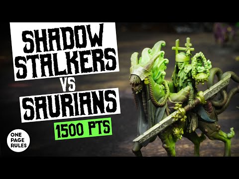 Shadow Stalkers VS Saurians - Age of Fantasy Battle Report [1500 points]