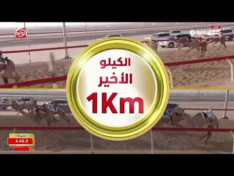 ش 16 (دمعه) لـ سلطان سويد بن قشمان المنصوري 6:07:94 ، شارة الديوان 2026/9/12 لقايا الوثبة