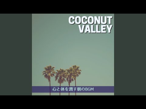 園芸 ドワーフヤシ、地中海ヤシ