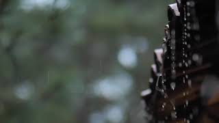 Download lagu Background Video sinematik hujan | Rain | Pemandangan indah mp3