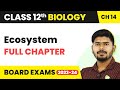 Ecosystem Full Chapter Explanation Class 12 Biology Chapter 14 2022 23