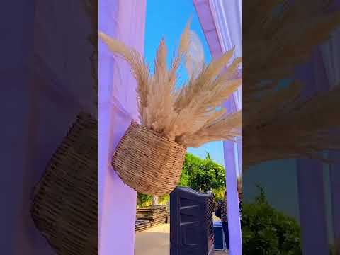 Wedding Planner portfolio by Salasar Events in Ajmer - Photo 0