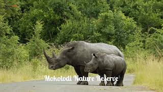 30 Best Places To Visit In Botswana- Travel Videos And Guides