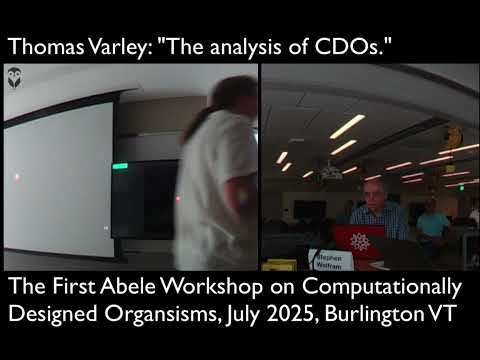 Thomas Varley's talk at WCDO25 (July 2025).