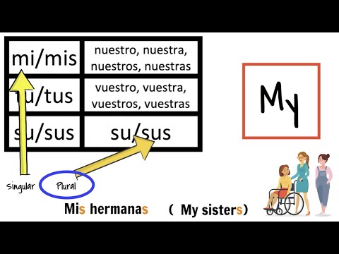 Possessive adjectives in Spanish for beginners: how to say my, your, his, her,  their explanation