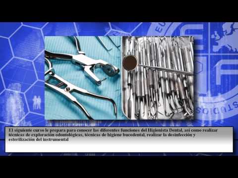 Cursos Youtube Online Euroinnova