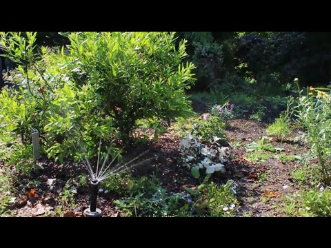 Environmental Horticulture Students Innovative Irrigation Project