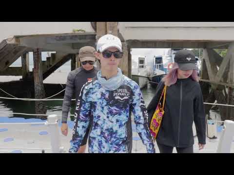 download lagu mp3 mp4 Speed Republic, download lagu Speed Republic gratis, unduh video klip Speed Republic