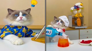 Download lagu Funny Animals Videos 2022 - Cute Animals Video #58 mp3