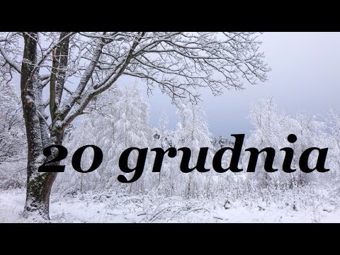 ALICJA LENCZEWSKA  - MYŚLI NA KAŻDY DZIEŃ  - 20 GRUDNIA