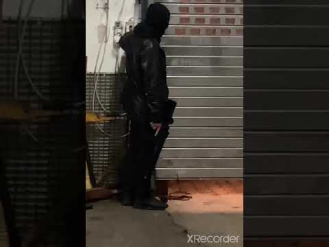 volo babo insta story🦁