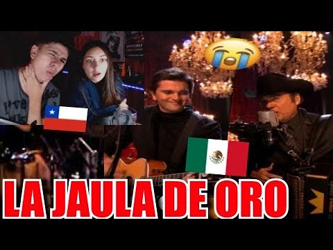 REACCION A LA JAULA DE ORO - LOS TIGRES DEL NORTE (CON JUANES)  🇲🇽 *SIN PALABRAS*