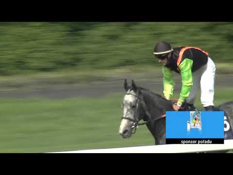 4. dostih - 72. Velká květnová cena - dostihy Chuchle Arena Praha 16. 5. 2021