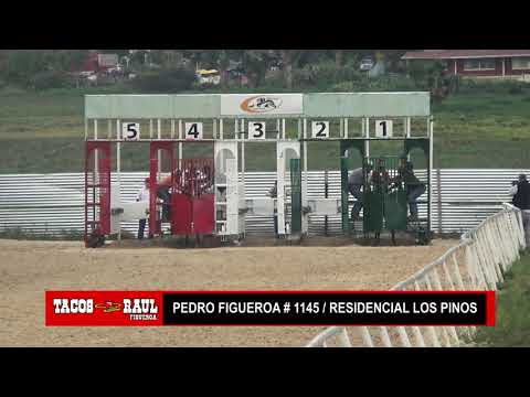 EL SAHUARITO VS EL RAYITO -  01 SEP 19 - PUERTO MEXICO - PURA SANGRE PRODUCCIONES