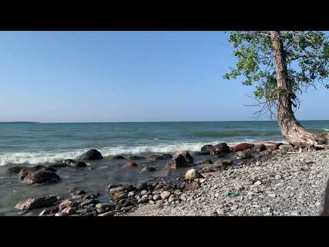 A New Perspective On Pain - 14 minutes