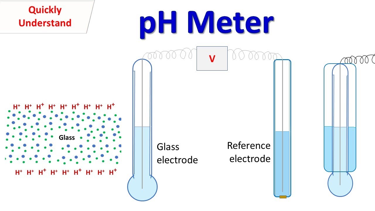 pH Meter | working of glass electrode of pH meter
