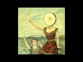 Neutral Milk Hotel - King of Carrot Flowers Part 1-3 (FIXED)