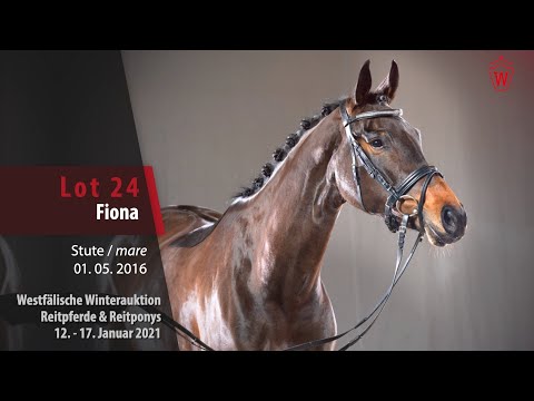 Trainingsvideo Winterauktion Lot 24 Fiona Stute v. Fashion Maker - Florestan I