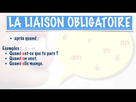 La liaison facultative, obligatoire et interdite