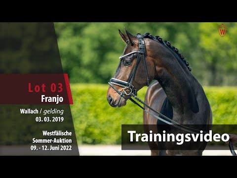 Sommer-Auktion Training Lot 3 Franjo Wallach v. Fontaine TN - Fürstenball