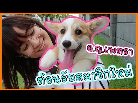 สาเหตุเจ้าหน้าที่จีนลูกปัดสำหรับผู้หญิง แอสเพนเปลือกสำหรับแรง