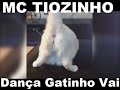 Mc Tiozinho Dança Gatinho Vai Reggaeton De 2005 Musica Registrada