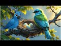 Kartoon Videos Short Kartoon Videos Best Kartoon Videos Videos