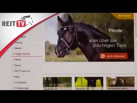 Die Reitwelt im Internet - Wo finde ich was?