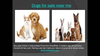 Sell pets online