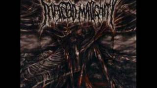 Infected Malignity - Revenge to Capitalism