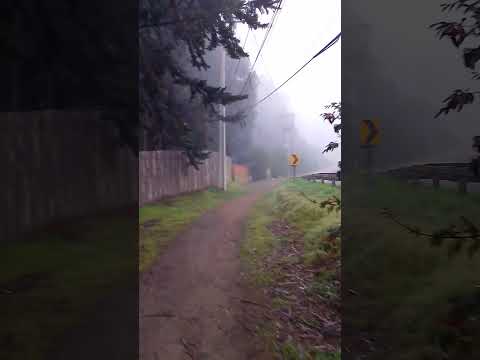 El Tabo Tarde con Neblina #hoy #ahora #eltabo #valparaiso #viralshorts #trend #viral #chile #neblina