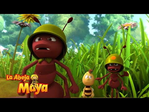 El Escondite De Henry 🐜🔍 - Capítulos completos - La Abeja Maya