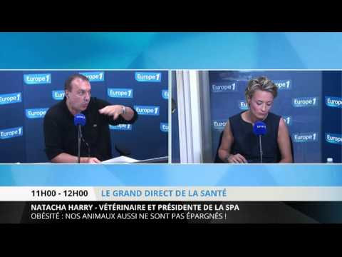 comment soigner chien incontinent