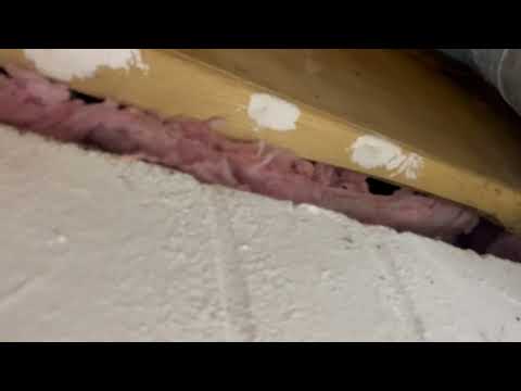 Mice Found Throughout the Basement Insulation in Marlboro, NJ