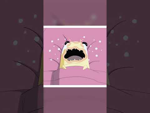 ¡Starfire adopta a Silkie! 🐛 | Teen Titans en Latino 🇲🇽🇦🇷🇨🇴🇵🇪🇻🇪 | @DCKidsLatino