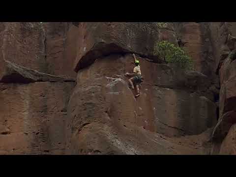 Tenerife - Arico - El escudo del guerrero 7a