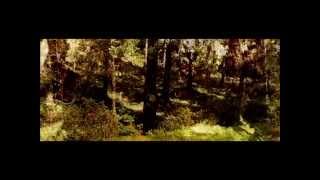 th'Inbred - In the Woods