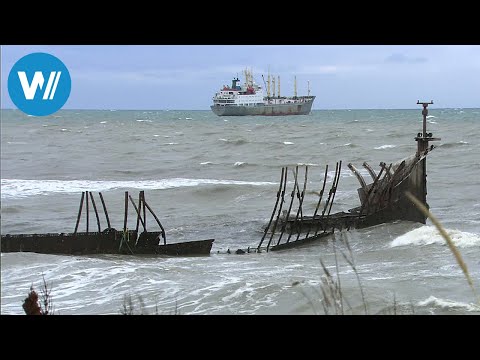 The Magellan Pilots (360° - GEO Reportage)