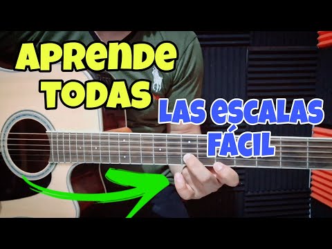 🚨How to learn ALL the scales in just 1 day (Scales for Lead Guitar Playing)